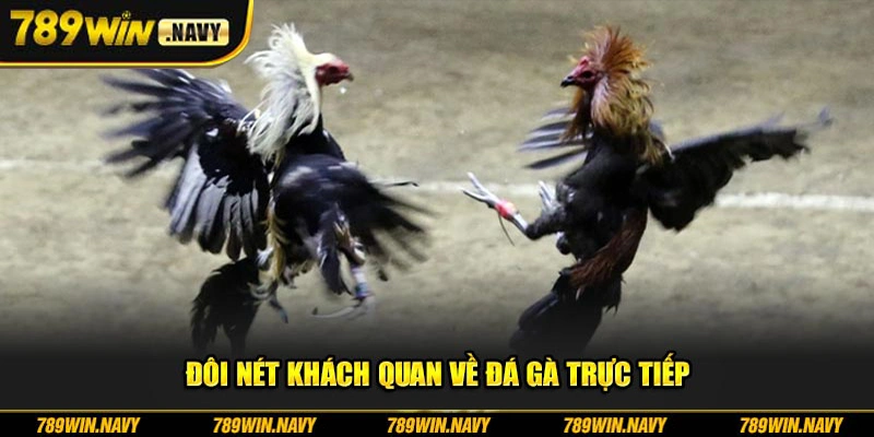 Đôi nét khách quan về đá gà trực tiếp