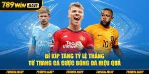 Tra cá cược bóng đá hiệu quả
