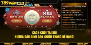 Cách chơi tài xỉu