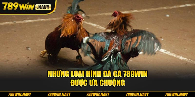Những loại hình đá gà 789Win được lựa chọn nhiều nhất